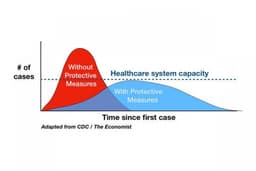 Coronavirus timeline