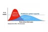 Coronavirus timeline