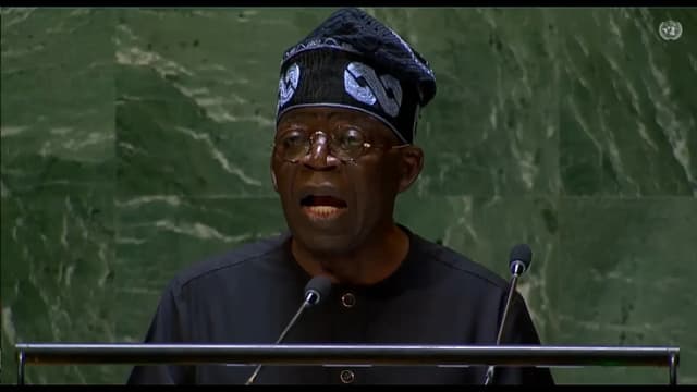 UNGA79: Nigeria demands UN Security Council seat