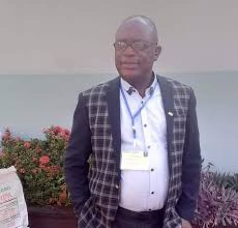 Enugu polls: PDP sweeps all 260 ward councilorship seats