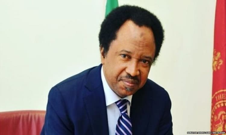 PDP suffers setback as 10,000 Shehu Sani?s supporters defect to APC