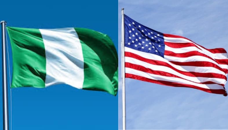 American citizens in Nigeria can vote in the U-S November 2024 elections in these 3 steps 