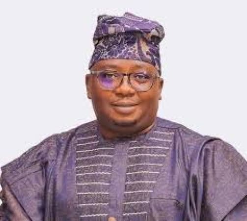 Over 40 per cent of Nigerians now enjoy 20 hours of electricity supply — Power Minister