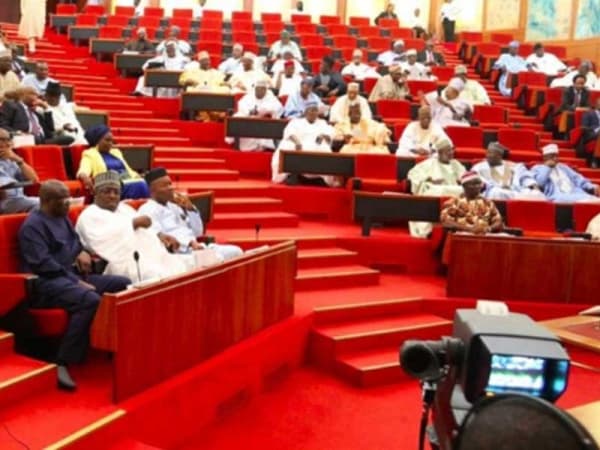 Constitution review: Northern, southern senators disagree on regionalism