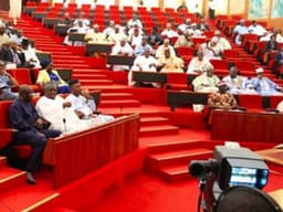 Constitution review: Northern, southern senators disagree on regionalism
