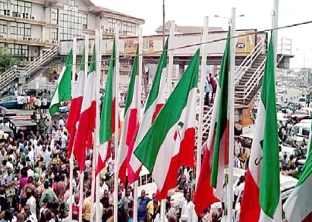 PDP rejects Anambra LG poll results, vows to challenge it