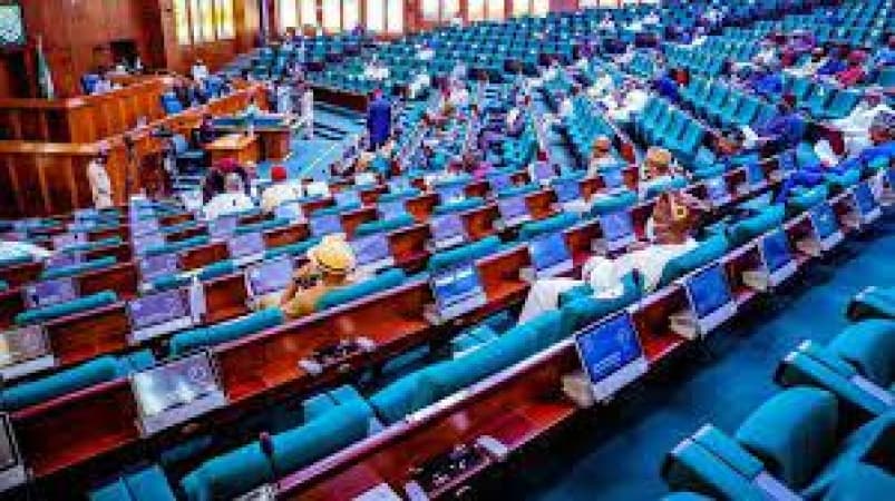 Reps move to stop SIECs from conducting LG polls