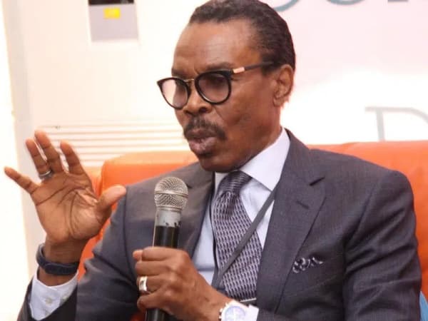 Prolonged monetary tightening may discourage investment, slowdown growth, Rewane warns