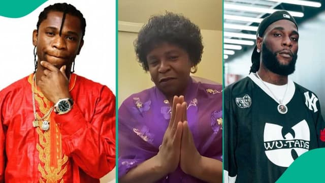 How BurnaBoy came with his team to pick up my son ? Mother of detained music star, Speed Darlington