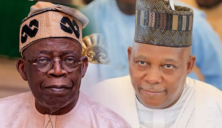 No leadership vacuum despite Tinubu, Shettima?s absence ? Presidency