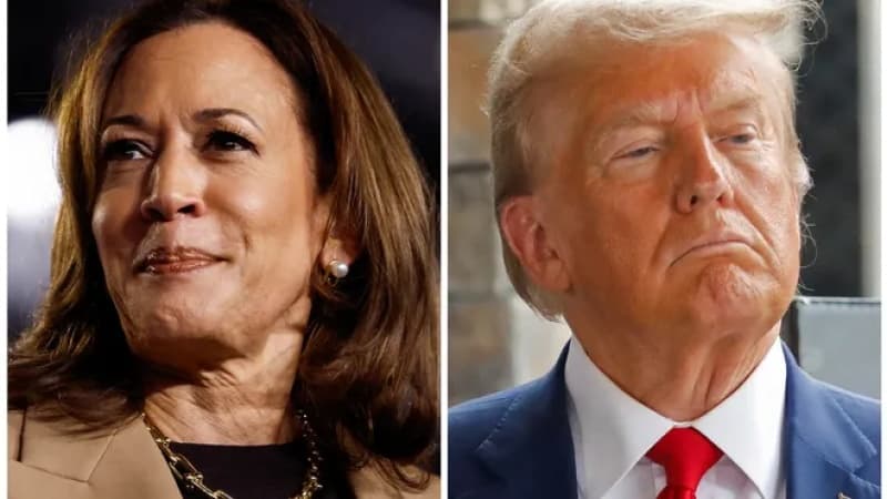 US Presidential Election: Harris leads Trump amid voter gloom, poll finds