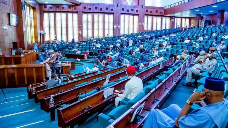 Reps reject bill seeking to expand Islamic law in 1999 constitution
