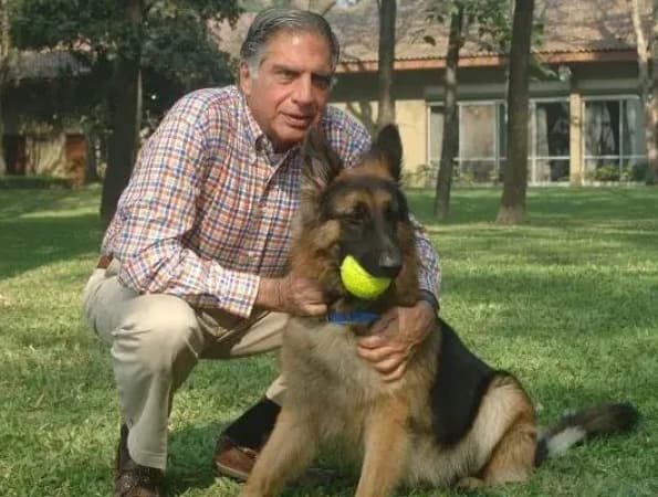 Billionaire businessman wills £91 million fortune to his dog 