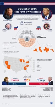 US election: How it works and why swing states are key 