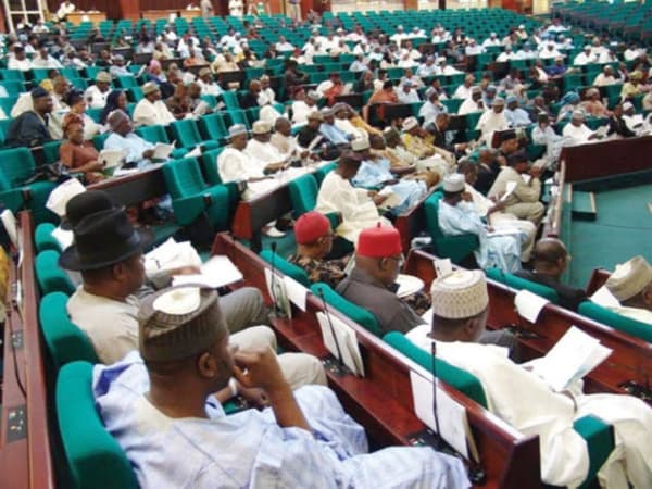 Reps pass bill mandating portfolios for ministerial nominees