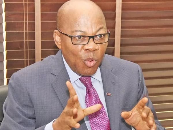 Appointing Auditor-General for LGs against autonomy ? Agbakoba faults Lagos bill