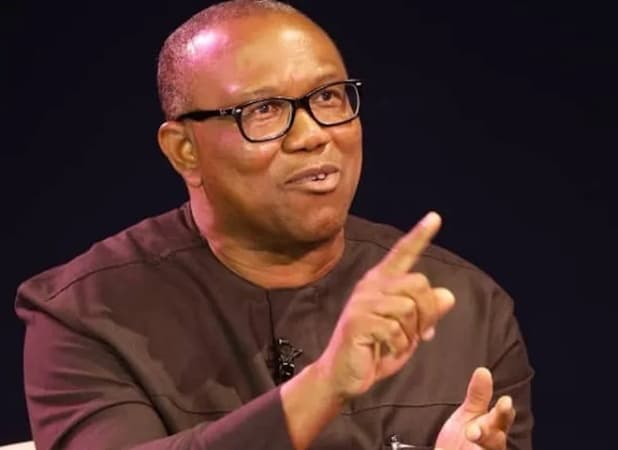 Democracy suffering in Nigeria now ? Peter Obi