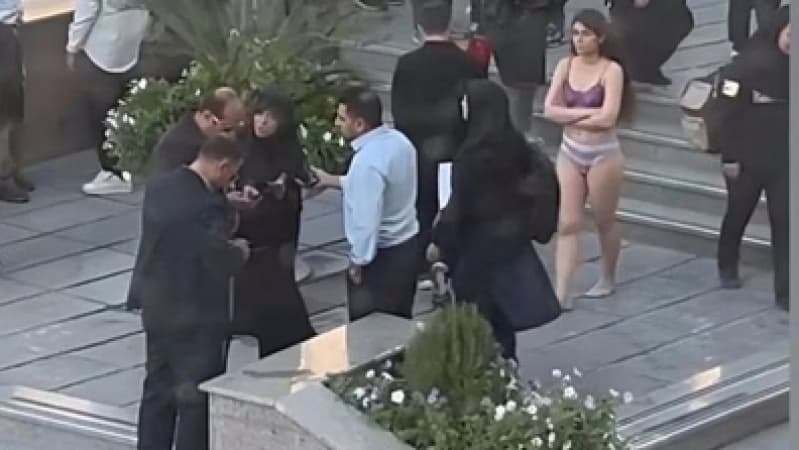 Iran releases woman detained for undressing 