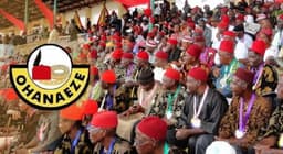 Pro-Biafra groups warn against alleged plot to truncate rotation of Ohanaeze presidency