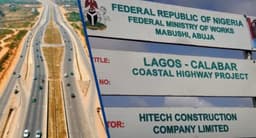Lagos coastal project: Nigerians in diaspora beg Tinubu to save $250m investments