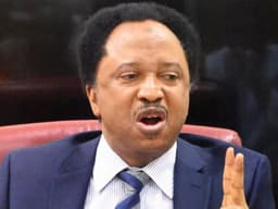 Submissive National Assembly could turn Tinubu into a tyrant, Sani warns