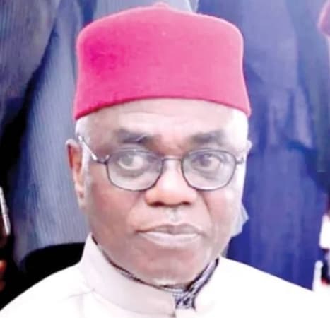 Ohanaeze Ndigbo gets New President-General 