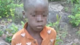 Missing 8-year-old boy survives five days in lion-inhabited game park