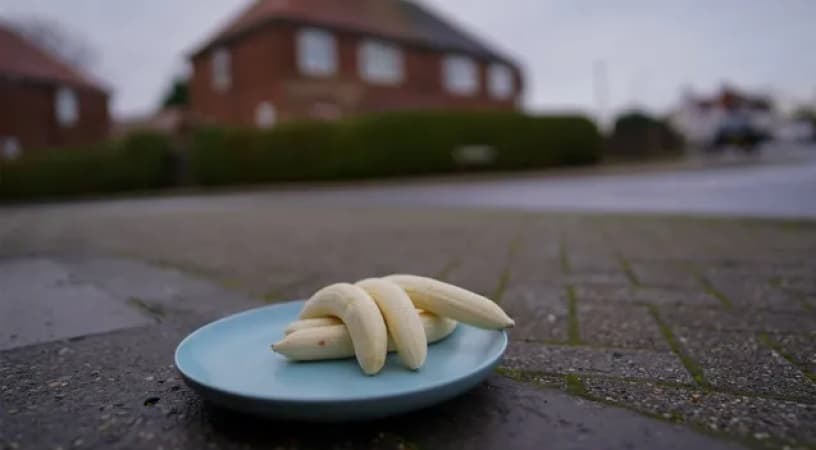 Confusion as mysterious banana ‘offering’ appear monthly at UK junction