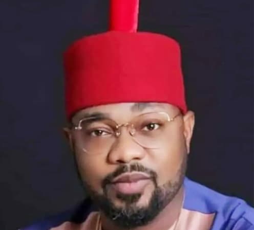 Ugochinyere Calls For Anyanwu?s Arrest For Parading Himself As PDP Scribe
