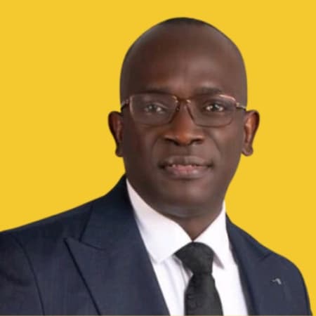Expatriates working in Nigeria without permits worries NECA