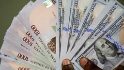Naira gains against dollar on Trump’s inauguration day