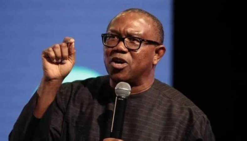 Fix INEC for credible election, strengthening democracy ? Peter Obi 