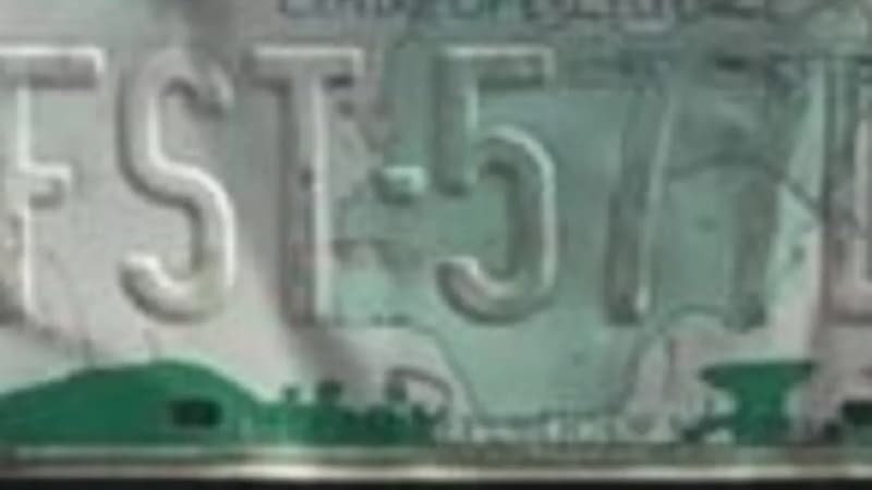 Aluko?s ruling on vehicle number plates