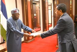Tinubu lauds accomplishments of diasporan Nigerians