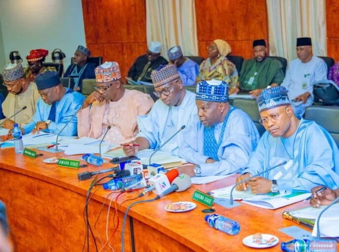 Arewa group condemns Northern govs for backing tax reform bills 