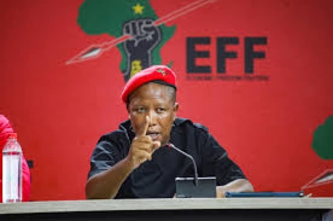 ‘Call me criminal, but I’ll keep fighting for black people’ — Malema tells Musk 