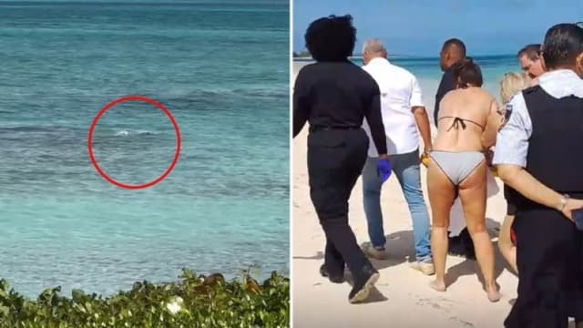Shark bites off tourist?s hands as she tries to take selfie on Caribbean beach