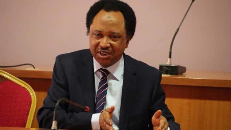 Shehu Sani faults El-Rufai?s claim of delivering Kaduna votes for Tinubu 