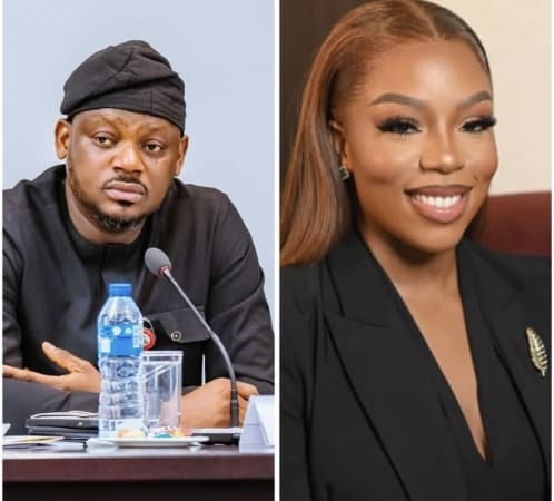 Tinubu elevates Adekunle-Johnson to special adviser, Anwuka senior aide