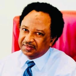Mistakes some activists made in 1999 still affecting Nigeria’s democracy — Shehu Sani