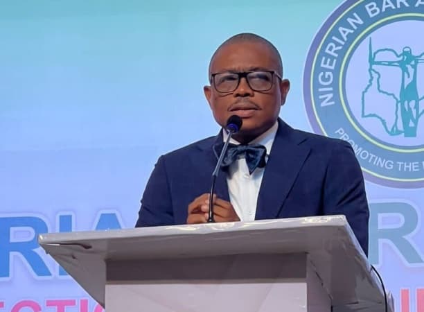 Restore Fubara as Governor, appointment of Administrator unconstitutional — NBA tells Tinubu
