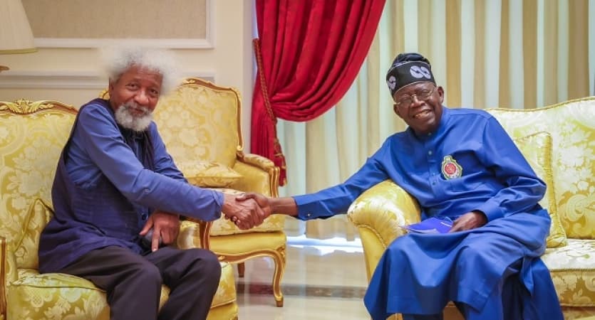 Why I have not assessed Tinubu’s government — Soyinka