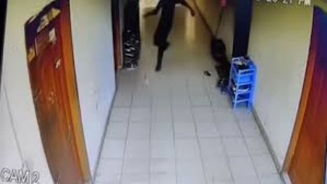 Court issues arrest warrant for cat killer