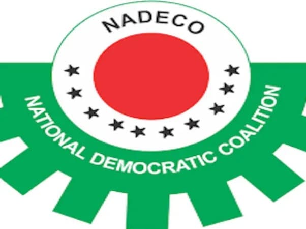 NADECO USA urges Rivers Administrator to resign, calls for public rejection