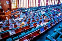Agitation for new local government areas intensify as House passes bills for second reading