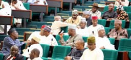 Think Yoruba First urges rejection of proposed bill on indigenous rights