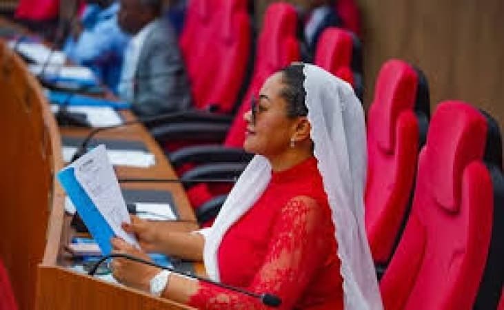 CSOs unveil situation room to monitor Natasha’s recall process