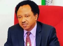 2027: Shehu Sani declares interest in Kaduna central senatorial seat
