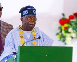 Ambassadorial list: Only Tinubu will forward nominees to NASS — FG