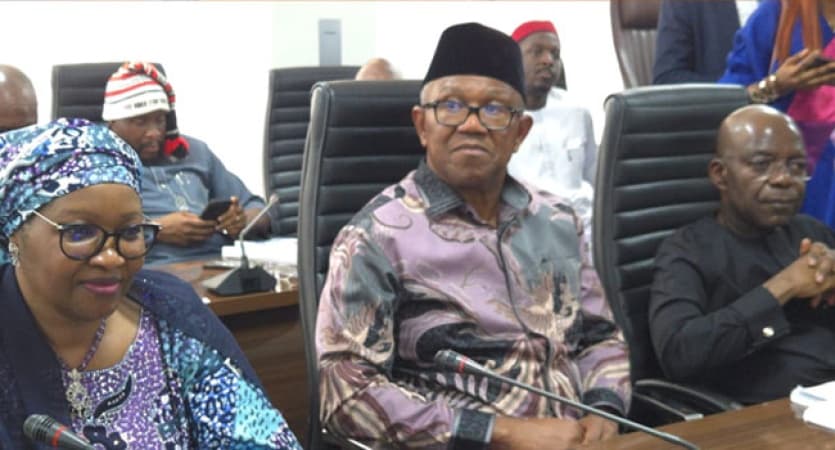 Obi, Otti lead LP members to INEC HQ, want Usman recognised as Chair